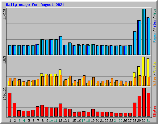 Daily usage for August 2024