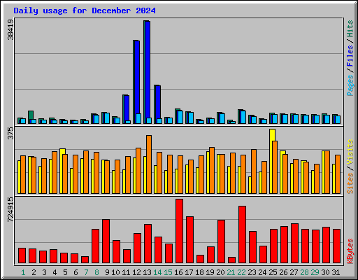 Daily usage for December 2024