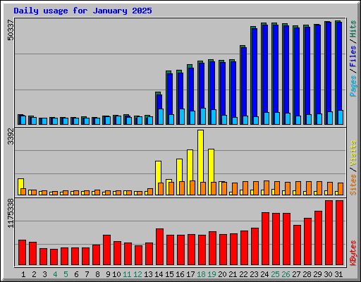 Daily usage for January 2025