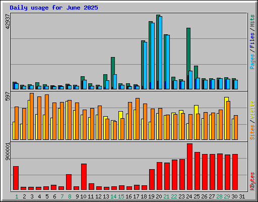 Daily usage for June 2025