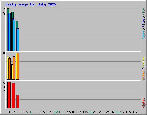Daily usage for July 2025