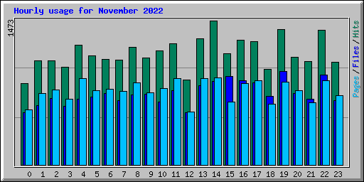 Hourly usage for November 2022