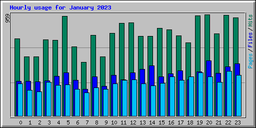 Hourly usage for January 2023