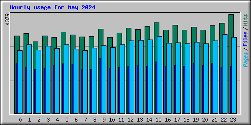 Hourly usage for May 2024