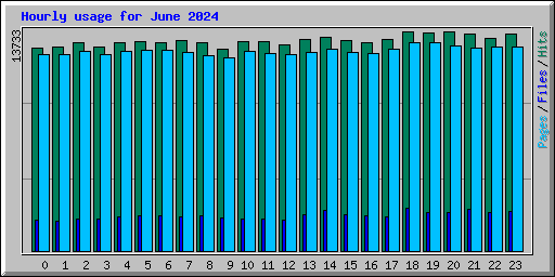 Hourly usage for June 2024