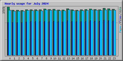 Hourly usage for July 2024