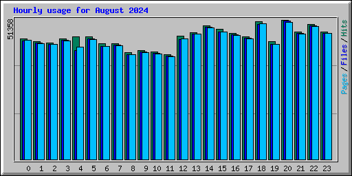 Hourly usage for August 2024