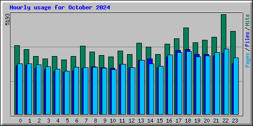 Hourly usage for October 2024