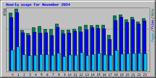 Hourly usage for November 2024