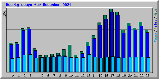 Hourly usage for December 2024