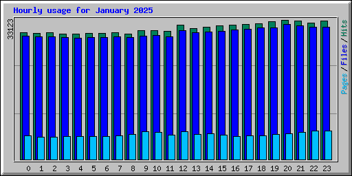 Hourly usage for January 2025