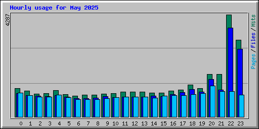 Hourly usage for May 2025