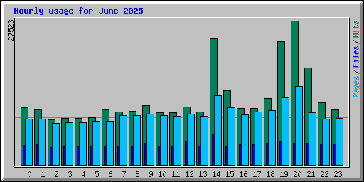 Hourly usage for June 2025