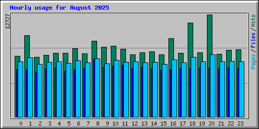 Hourly usage for August 2025