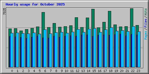 Hourly usage for October 2025