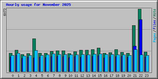 Hourly usage for November 2025