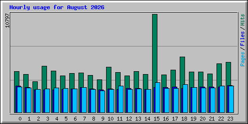 Hourly usage for August 2026